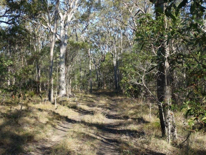 312 Mollenhagens Road, Winfield QLD 4670