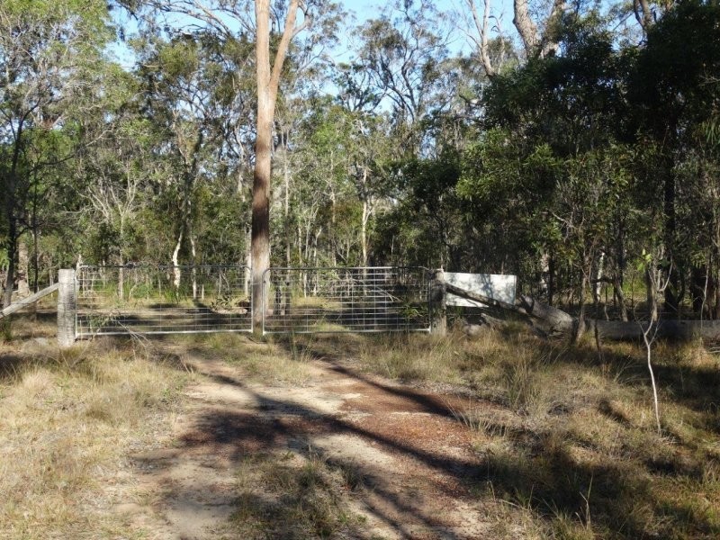 312 Mollenhagens Road, Winfield QLD 4670