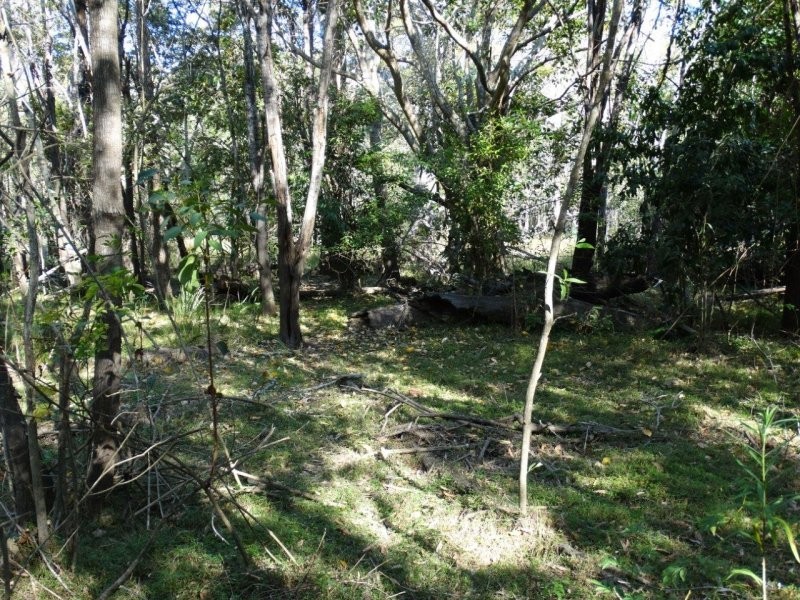 312 Mollenhagens Road, Winfield QLD 4670