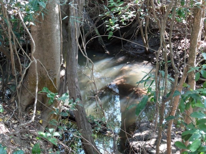 312 Mollenhagens Road, Winfield QLD 4670