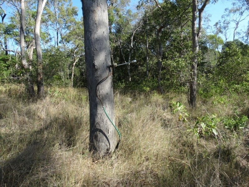 312 Mollenhagens Road, Winfield QLD 4670