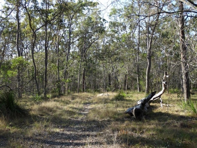 312 Mollenhagens Road, Winfield QLD 4670