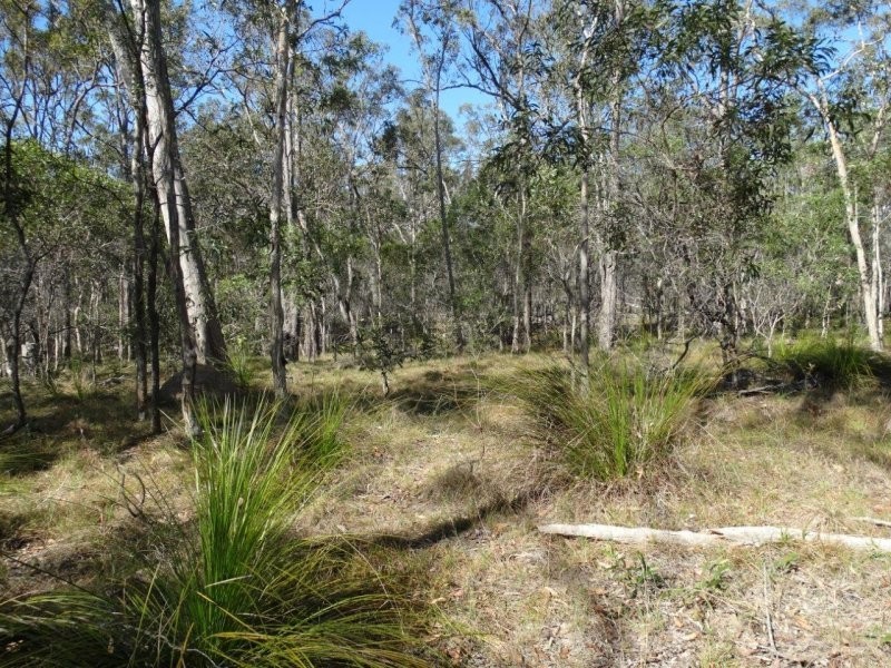 312 Mollenhagens Road, Winfield QLD 4670