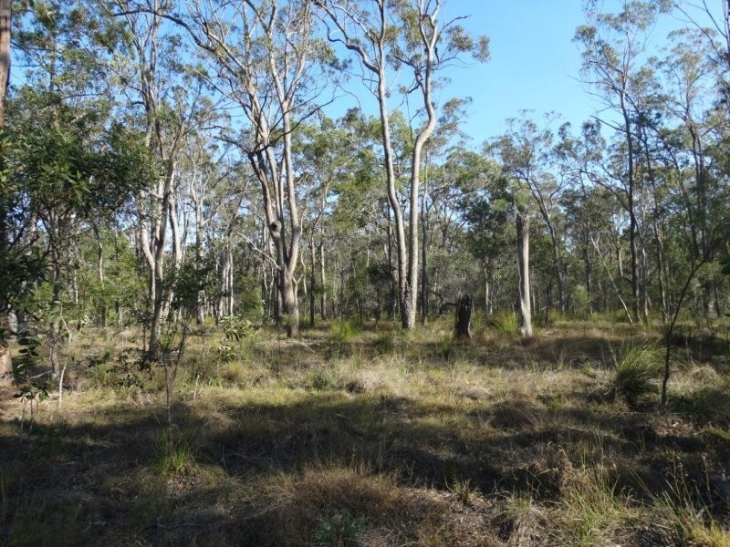 312 Mollenhagens Road, Winfield QLD 4670