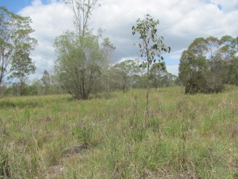 Lot 65 Taunton Road, Euleilah QLD 4674