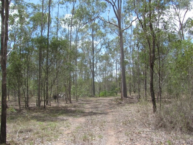 Lot 65 Taunton Road, Euleilah QLD 4674