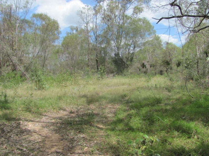 Lot 65 Taunton Road, Euleilah QLD 4674