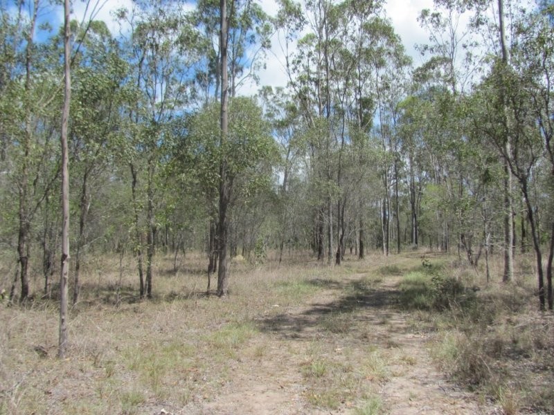 Lot 65 Taunton Road, Euleilah QLD 4674