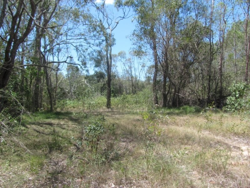 Lot 65 Taunton Road, Euleilah QLD 4674