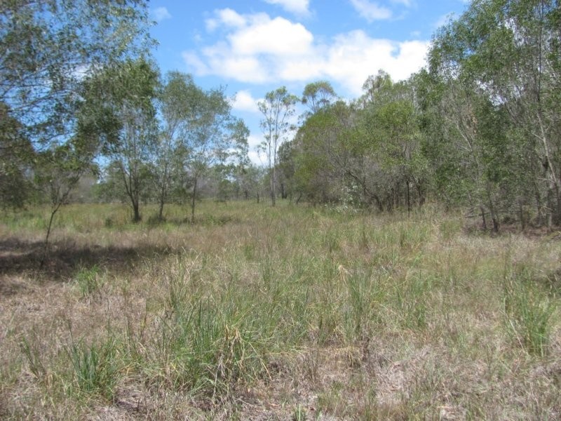 Lot 65 Taunton Road, Euleilah QLD 4674