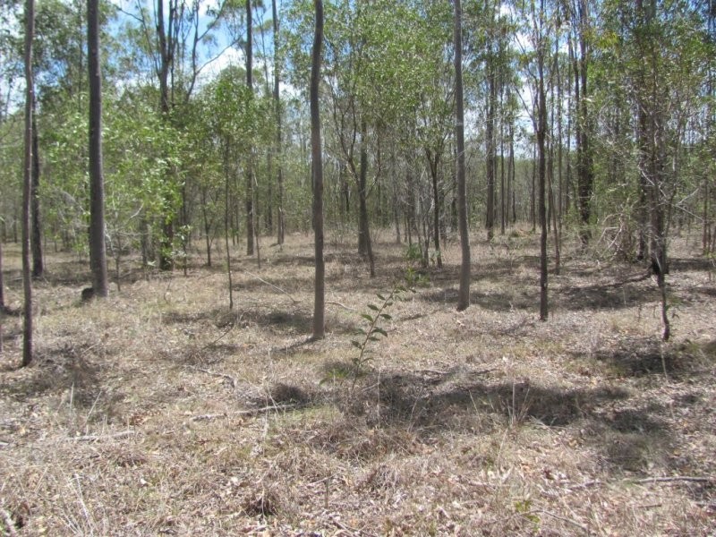 Lot 65 Taunton Road, Euleilah QLD 4674