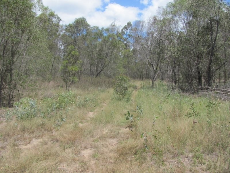 Lot 65 Taunton Road, Euleilah QLD 4674