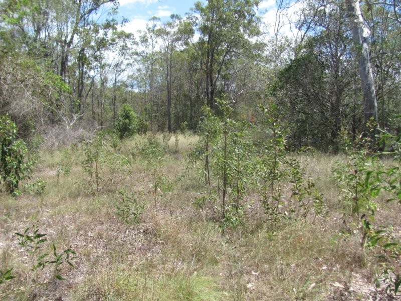 Lot 65 Taunton Road, Euleilah QLD 4674