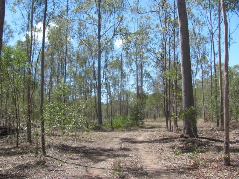 Lot 65 Taunton Road, Euleilah QLD 4674