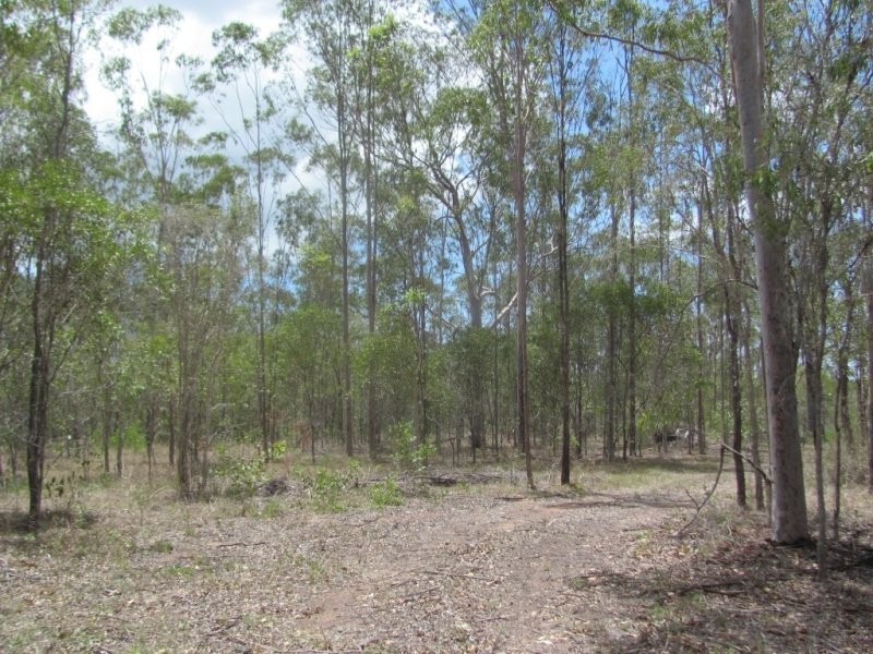 Lot 65 Taunton Road, Euleilah QLD 4674