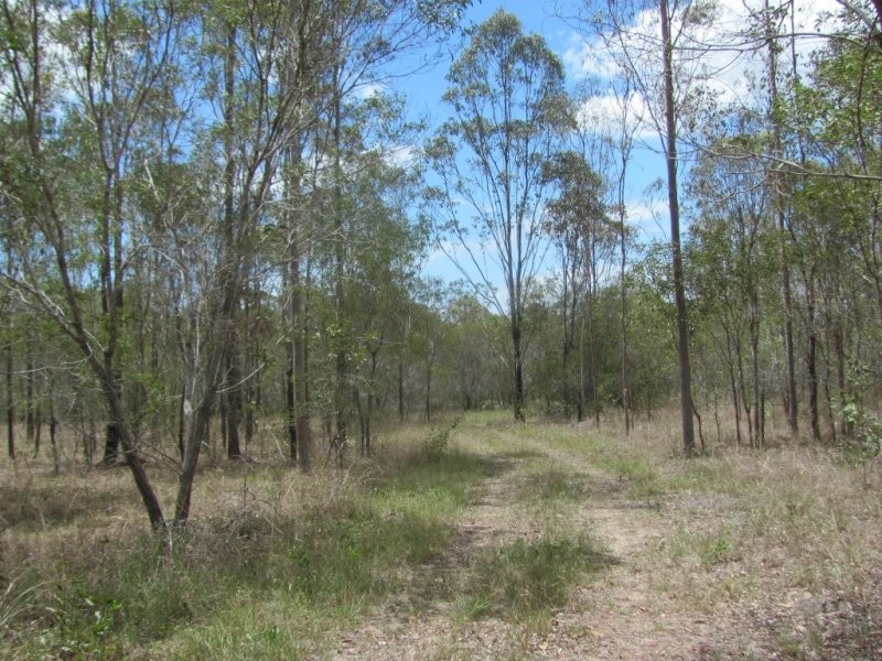 Lot 65 Taunton Road, Euleilah QLD 4674