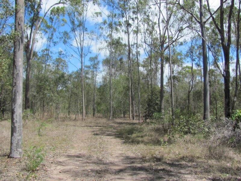 Lot 65 Taunton Road, Euleilah QLD 4674