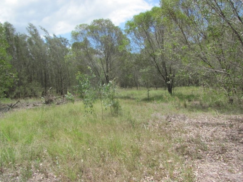 Lot 65 Taunton Road, Euleilah QLD 4674
