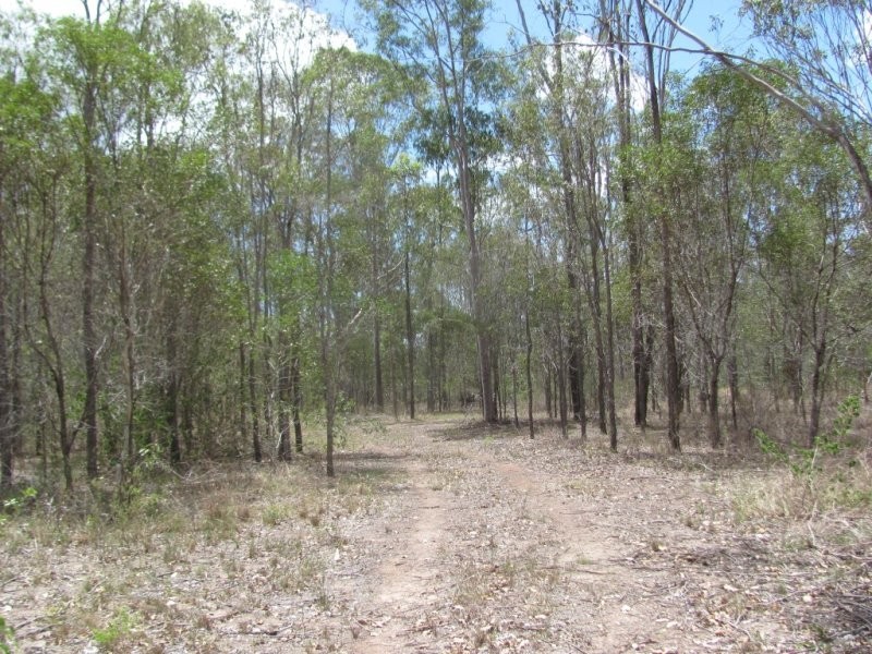 Lot 65 Taunton Road, Euleilah QLD 4674