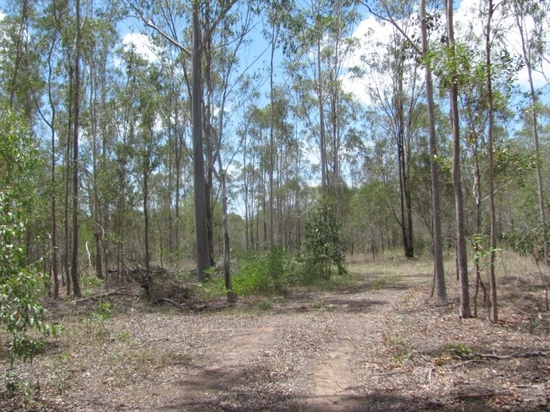 Lot 65 Taunton Road, Euleilah QLD 4674