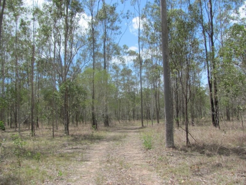 Lot 65 Taunton Road, Euleilah QLD 4674