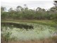 1297 Hills Road, Euleilah QLD 4674