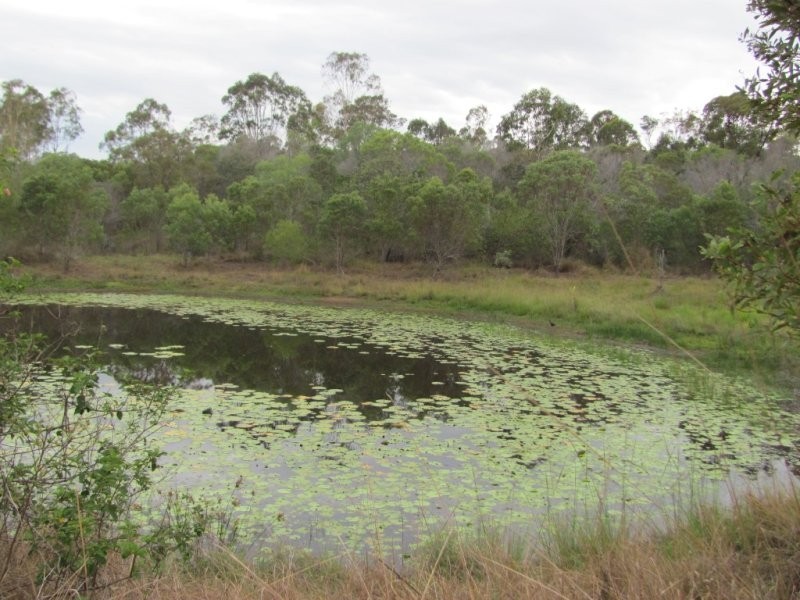 1297 Hills Road, Euleilah QLD 4674