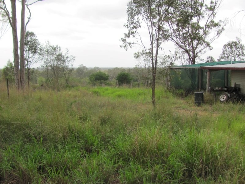 1297 Hills Road, Euleilah QLD 4674
