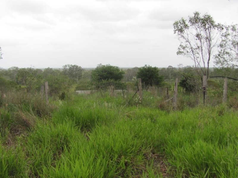 1297 Hills Road, Euleilah QLD 4674