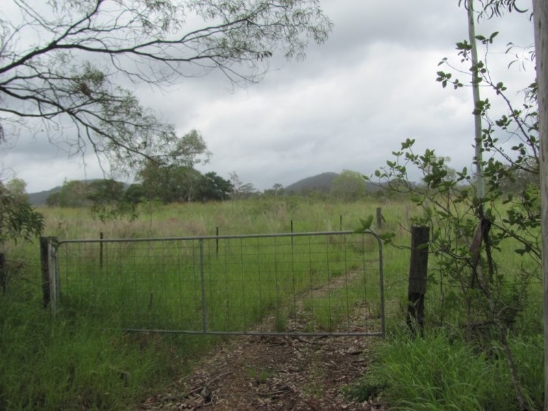 1297 Hills Road, Euleilah QLD 4674