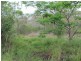 1297 Hills Road, Euleilah QLD 4674