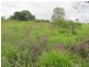 1297 Hills Road, Euleilah QLD 4674