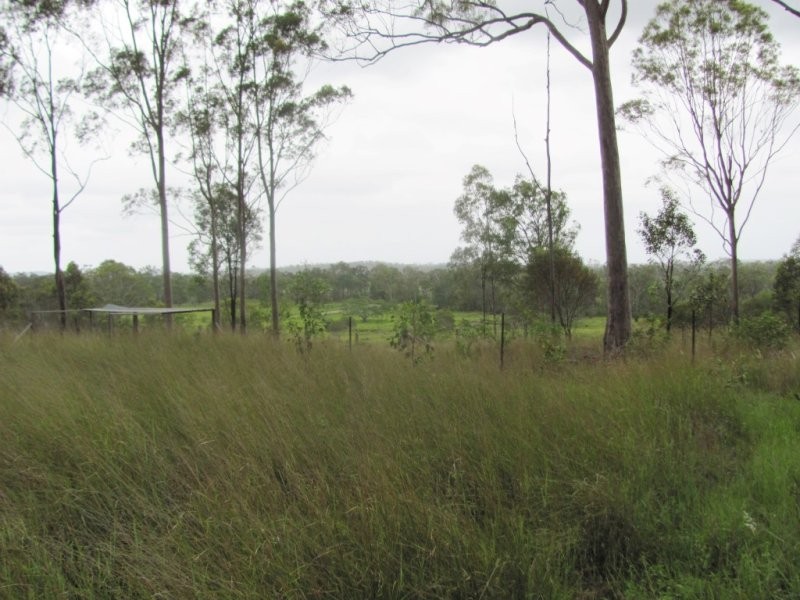 1297 Hills Road, Euleilah QLD 4674