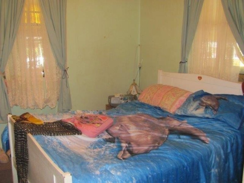 11 McPherson Street, Rosedale QLD 4674