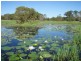 Rosedale QLD 4674