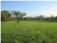 1312 Bucca Road, Bucca QLD 4670