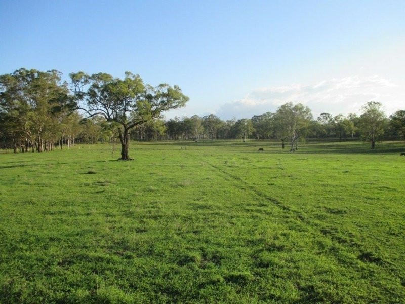 1312 Bucca Road, Bucca QLD 4670
