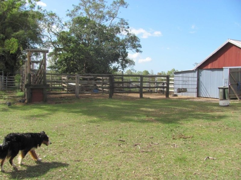 1312 Bucca Road, Bucca QLD 4670
