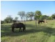 1312 Bucca Road, Bucca QLD 4670