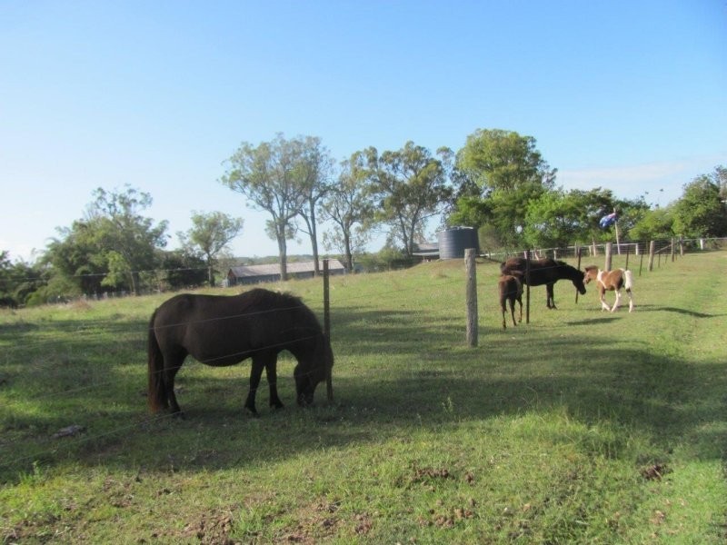 1312 Bucca Road, Bucca QLD 4670