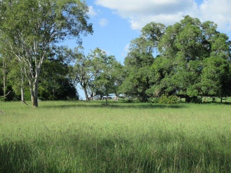 1312 Bucca Road, Bucca QLD 4670