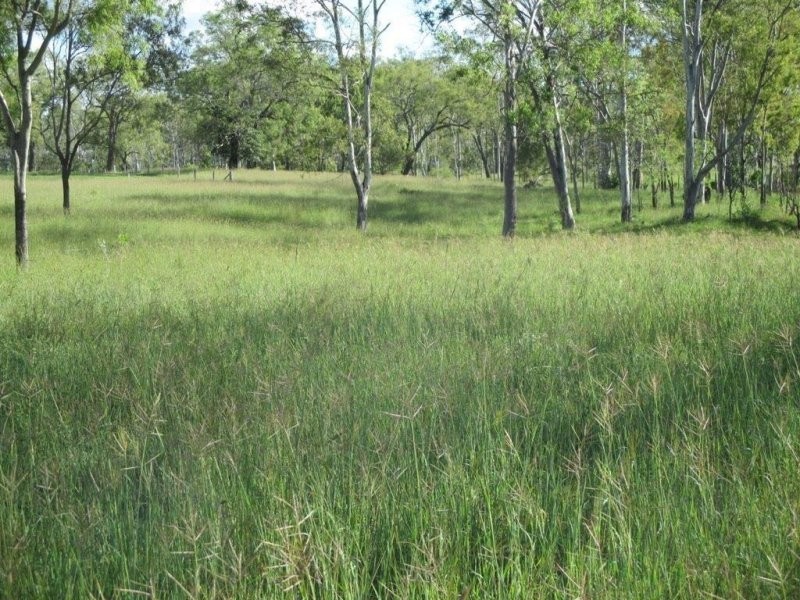 1312 Bucca Road, Bucca QLD 4670
