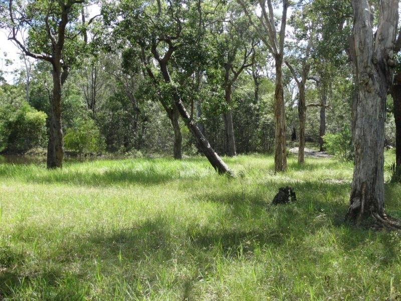 203 Muller Road, Baffle Creek QLD 4674