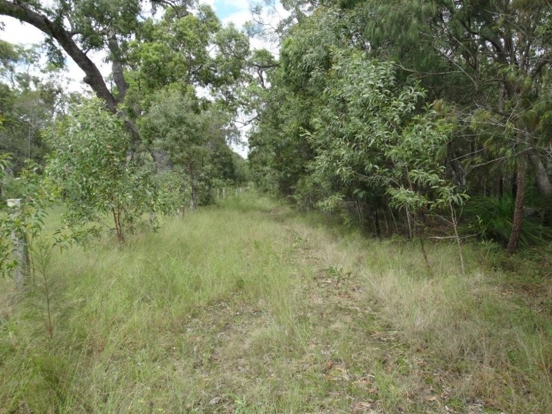 203 Muller Road, Baffle Creek QLD 4674