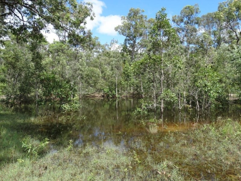 203 Muller Road, Baffle Creek QLD 4674