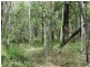 203 Muller Road, Baffle Creek QLD 4674