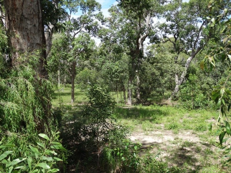 203 Muller Road, Baffle Creek QLD 4674