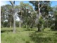 203 Muller Road, Baffle Creek QLD 4674