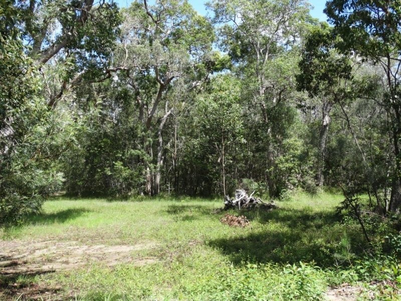203 Muller Road, Baffle Creek QLD 4674