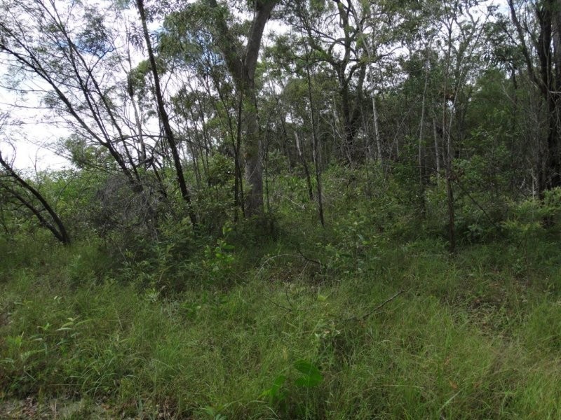 203 Muller Road, Baffle Creek QLD 4674
